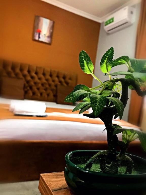 Geo Hotel Tiflis Dış mekan fotoğraf